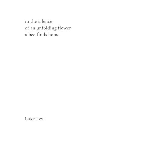 a haiku poem, found in my recent book: Windswept Leaves 
 #poetry #poems Haiku For Friends, Haiku Poems Deep, Haiku Poems Love, Haiku Poem, Poems Deep, Japanese Haiku, I Still Miss You, Petal Art, Haiku Poetry