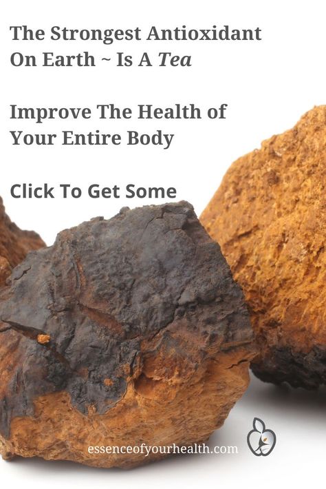 Chaga Mushroom Tea is a natural remedy known for it's immune boosting and antioxidant power. Take advantage of the numerous health benefits and learn how to make it. #chagamushroom #chagatea #eatclean #health #heal #healthyliver #healthylifestyle Chaga Tea Benefits, Chaga Mushroom Benefits, Chaga Mushroom Tea, Chaga Tea, Health Benefits Of Mushrooms, Health Benefits Of Ginger, Mushroom Tea, Chaga Mushroom, Ginger Benefits