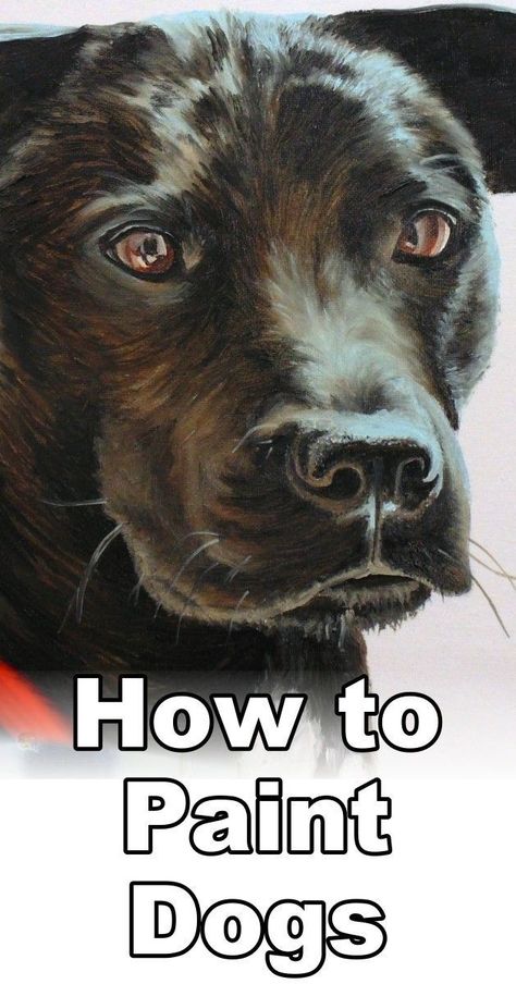 How to Paint Black Hair Animals (Dog) Dog Drawing Tutorial, Paint Animals, Pet Portrait Paintings, Dog Portraits Painting, Oil Painting Lessons, Frida Art, Edouard Vuillard, Oil Painting Tutorial, Pet Portrait Painting