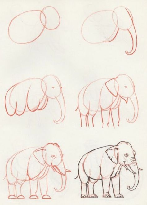 Draw An Elephant, Pencil Sketch Drawing, Elephant Drawing, Pencil Drawings Easy, 3d Drawings, Aesthetic Drawing, An Elephant, Pencil Art Drawings, Step By Step Drawing