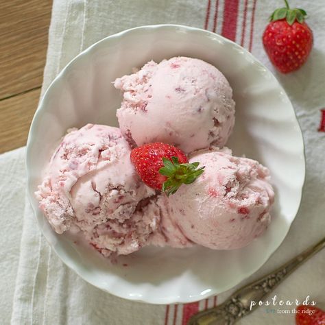 This is a wonderful classic strawberry ice cream recipe. Uses fresh or frozen strawberries. #recipe #icecream #strawberries Ice Cream Maker Recipes Strawberry, Cuisinart Ice Cream Maker Recipes, Ice Recipes, Strawberry Ice Cream Recipe, Homemade Strawberry Ice Cream, Electric Ice Cream Maker, Cuisinart Ice Cream, Cuisinart Ice Cream Maker, Ice Cream Maker Recipes