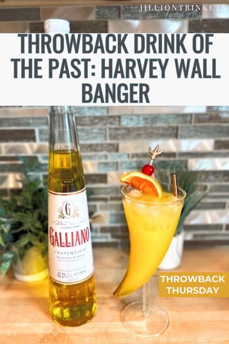 Throwback Drink of the Past: Harvey Wall Banger Harvey Wallbanger Drink, Bangers Recipe, Drinks Made With Tequila, Harvey Wallbanger, Bartending School, Sweet Cocktails, Orange Creamsicle, Cocktail Drinks Recipes, Alcohol Drink