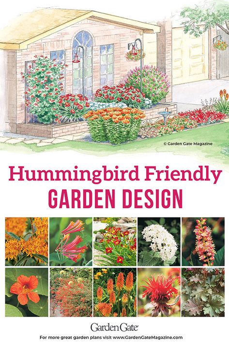 Bonito, Hummingbird Garden Layout, Hummingbird Garden Ideas Backyards, Humming Bird Garden Layout, Hummingbird Garden Design, Hummingbird Garden Ideas, Pollinator Garden Layout, Butterfly Garden Design Layout, Hummingbird Garden Plan