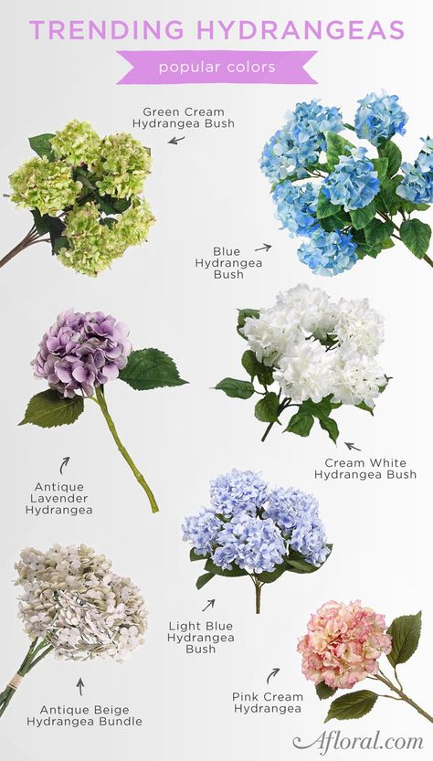 Hydrangea Inspiration, Hydrangea Flower Bouquet, Hydrangea Wedding Flowers, Trending Flowers, Hydrangeas Garden, Flowers With Names, Hydrangea Season, Hydrangea Plant, Hydrangeas Flowers