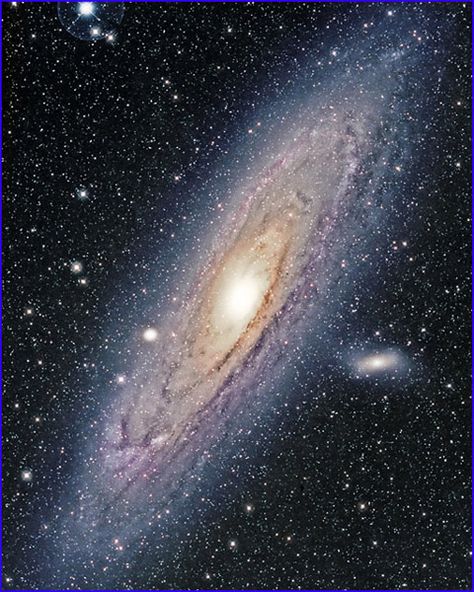 Andromeda-our closest neighbour galaxy Galaxy Photography, Space Solar System, Space Nebula, Galaxy Photos, Night Sky Stars, Galaxy Pictures, Andromeda Galaxy, Science Photos, Cosmic Horror