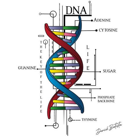 Dna Drawing Science, Psychology Drawing Illustrations, Dna Drawing Art, Dna Design Graphics, Dna Art Design, Dna Sketch, Dna Drawing, Dna Art, Dna Tattoo