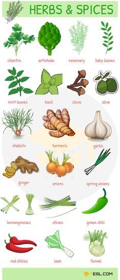 0shares Learn names of Fruits and Vegetables through pictures. A fruit is the seed-bearing structure in flowering plants formed from the ovary … English Resources, Kitchen Vocabulary, Name Of Vegetables, Materi Bahasa Inggris, English Vocab, English Course, English Language Teaching, English Tips, Fruit And Vegetables