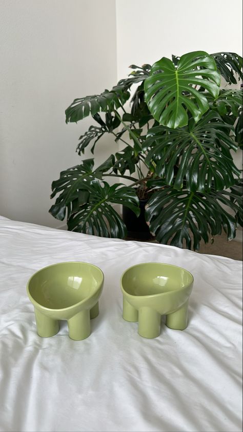 Aesthetic Dog Items, Aesthetic Cat Bowls, Cat Bowls Aesthetic, Aesthetic Cat Supplies, Cute Cat Bowls, Aesthetic Cat Toys, Aesthetic Cat Stuff, Cat Setup, Diy Chat