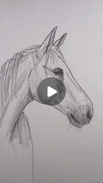 Sketching Horses Pencil, Draw Horses Easy, Drawing Ideas With Tutorial, Horse Drawing For Beginners, Drawings By Pencil, Pencil Drawings Easy For Beginners, Sketching For Beginners Pencil, How To Sketch A Horse, Horse How To Draw