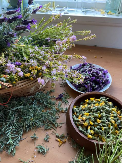 Herbs Aesthetic Witch, Healing Herbs Aesthetic, Witch Tea Aesthetic, Fresh Herbs Aesthetic, Herbal Garden Aesthetic, Herbal Remedies Aesthetic, Tea Herbs Aesthetic, Herb Tea Aesthetic, Witch Herb Garden Aesthetic