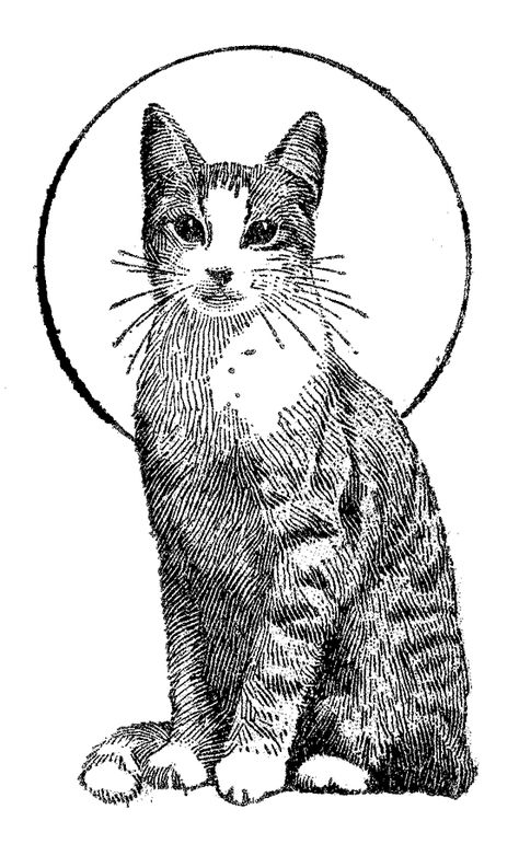Cat Coloring Pages - 3 Cat Coloring Pages, Kittens Coloring, Cat Coloring, 8bit Art, Cat Sketch, Cat Coloring Page, Arte Inspo, Cats Illustration, Cat Colors