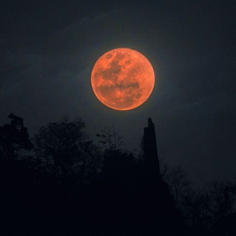 Spiritual Meaning of the Blood Moon Blood Moon Spiritual Meaning, Full Moon September, Corn Moon, Sturgeon Moon, Next Full Moon, Learn Yoga, Wolf Moon, Moon Rise, Super Moon