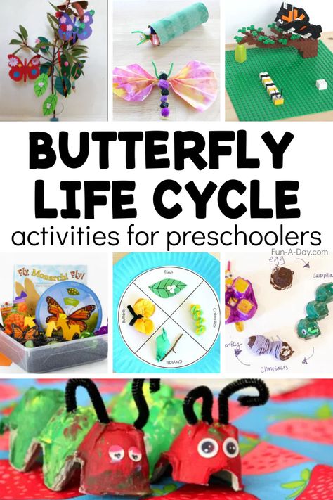 These butterfly life cycle activities are perfect as part of your next preschool butterfly theme! Sensory play, crafts, and STEM activities abound as the kids explore the life cycle of a butterfly. Butterfly Themed Activities For Preschool, Preschool Butterfly Theme, Preschool Butterfly, Butterfly Life Cycle Activity, Life Cycle Activities, Life Cycle Of A Butterfly, Cycle Of A Butterfly, Butterflies Activities, Life Cycles Activities