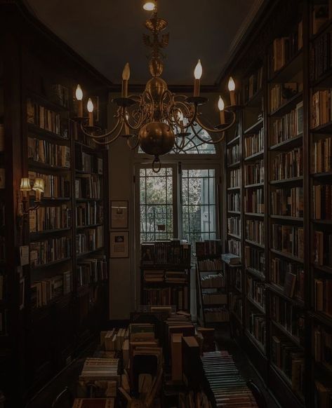 Keeper of the lost cities aesthetic Fancy Library Aesthetic, The Goldfinch Aesthetic, Resonance Aesthetic, Goldfinch Aesthetic, Classical Academia, Dark Acedamia, Dark Acedemia, Dark Acadamia, Aesthetic Dark Academia