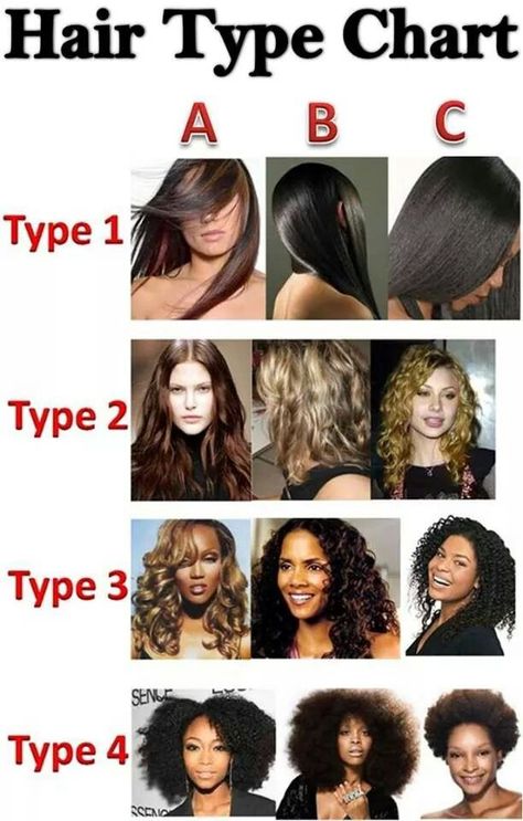 Hair type chart Type 2a Hair, Hair Type Chart, Cantu Hair Products, Hair Chart, Natural Hair Types, Haircut Types, Curly Hair Types, Hair Porosity, Different Hair Types