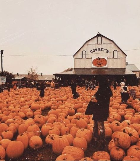 Aesthetic Fall Pictures, Spooky Season Aesthetic, Photo Harry Potter, Herbst Bucket List, Grafika Vintage, Halloween Decor Diy, Fall Mood, Diy Halloween Decor, Fall Things