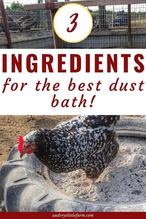 Dust Bath For Quail, How To Make Dust Bath For Chickens, Dirt Bath Chickens, Diy Chicken Dirt Bath, Winter Dust Bath For Chickens, Dusting Bath For Chickens, Best Dust Bath For Chickens, Tire Dust Bath For Chickens, Nesting Boxes For Chickens Ideas