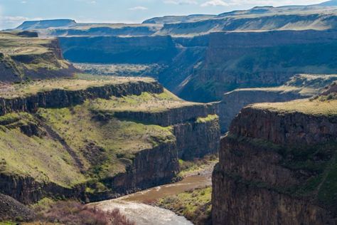 The Little Grand Canyon In Washington Is A Big Secluded Treasure Nature, Lost In Nature, 7 Wonders Of The World, The Palouse, Washington Vacation, Central Park Manhattan, Ice Dams, Washington Hikes, River Canyon