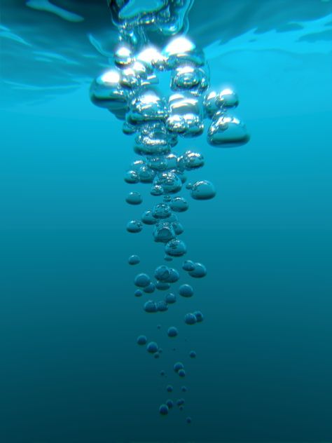 Underwater Photography, Underwater Photos, Water Photography, Underwater Bubbles, Water Aesthetic, Water Bubbles, Underwater World, Air Bubbles, Pics Art