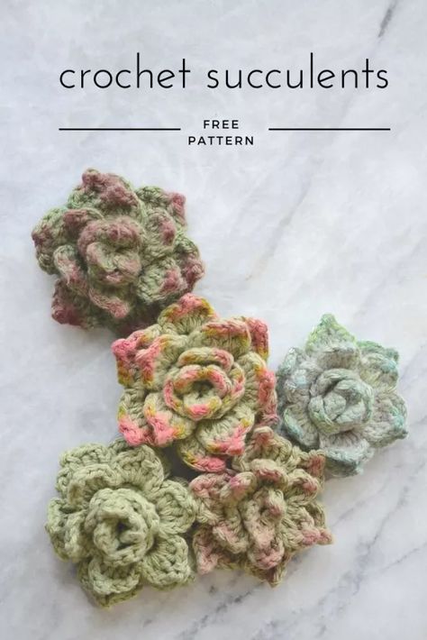 Succulent Reference, Crochet Succulents, Crochet Succulent, Crochet Pot, Crochet Garden, Crochet Cactus, Reference Pics, Crocheted Flowers, Knit Ideas