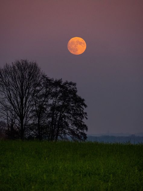 Nature, Moon Goddess, Moonrise Aesthetic, Rise Aesthetic, Sunset Moon, Forest Moon, Moon Book, Sunset Rose, Watercolour Landscape