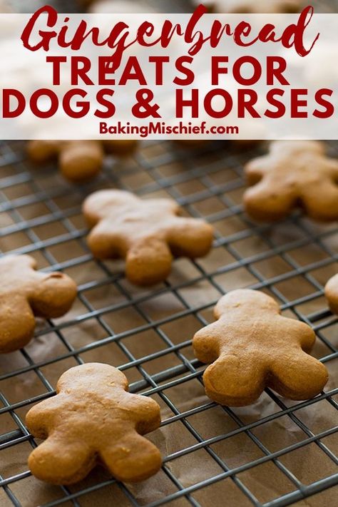 These Horse and Dog Gingerbread Treats are so fun and easy to make and the perfect way to show your pets you care this Christmas! | Dog Treats | Horse Treats | pet gifts | Puppy Kisses Dog Treats, Gingerbread Treats, Baking Mischief, Homemade Horse Treats, Dog Cookie Recipes, Homemade Pet Treats, Dog Cake Recipes, Horse And Dog, Christmas Dog Treats