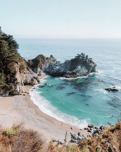 15 OF THE MOST BEAUTIFUL PLACES IN NORTHERN CALIFORNIA Nature, Lemoore California, Cypress Tree Tunnel, Northern California Beaches, Northern California Road Trip, Northern California Coast, California Beach House, California Roadtrip, California Wildflowers