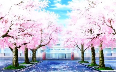 sakura image Manga Smile, Anime Cherry Blossom, Cherry Blossom Wallpaper, Sakura Bloom, Scenery Background, Sakura Flower, Anime Art Dark, Art Manga, Anime Backgrounds Wallpapers