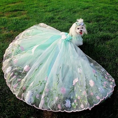 Dog Wedding Dress Pets, Puppy Wedding, Dog Fancy Dress, Dog Wedding Attire, Dog Wedding Dress, Dog Tutu, Fancy Dog, Wedding Skirt, Dog Clothes Patterns