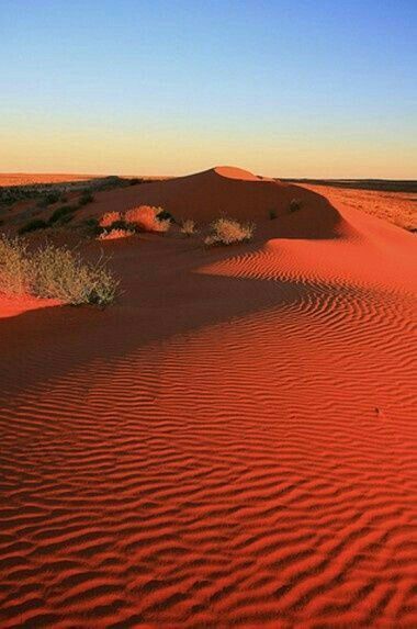 For more inspiration follow us on instagram @artofdestinations or click on photo to visit our instagram page! Western Australia Travel, Australian Desert, Australia Landscape, Deserts Of The World, Red Sand, Desert Travel, Australian Travel, Outback Australia, In The Desert