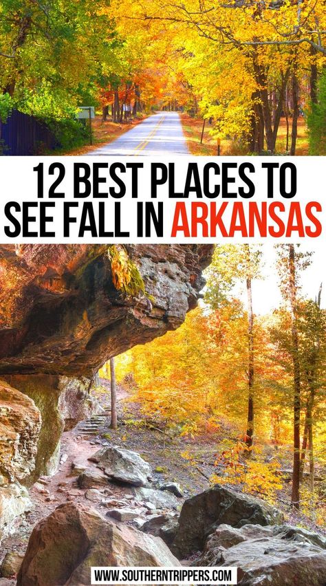 12 Best Places To See Fall in Arkansas Fall In Arkansas, Christmas In Arkansas, Arkansas Fall Foliage Road Trip, Fall Arkansas, Hiking Arkansas, Things To Do In Arkansas, Fall Destinations, Arkansas Road Trip, Fall Foliage Road Trips