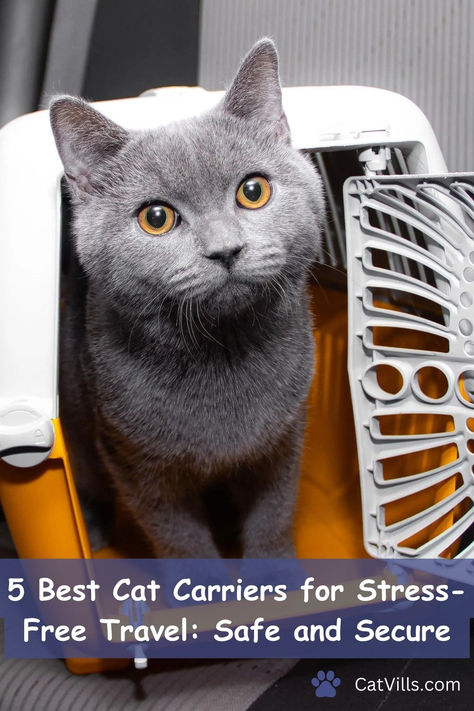 Travel with ease and style! Find the perfect cat carrier for your feline friend with our guide to the best cat carriers. Safe, comfortable, and designed for the modern cat on the move. Life Tips, Cat Carriers, High Tech Gadgets, Cat Carrier, Modern Cat, Best Cat, Free Travel, Dog Life, Cool Cats