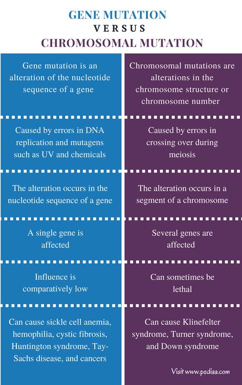 Difference Between Gene Mutation and Chromosomal Mutation | Definition, Features, Types, Similarities and Differences Protein Biology, Healthy Recipes Protein, Biochemistry Notes, Gene Mutation, Recipes Protein, Mcat Study, Molecular Genetics, Study Biology, Biology Facts