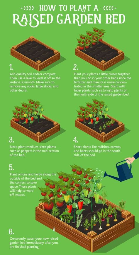 How to Plant a Raised Garden Bed Planting Raised Garden Beds, Beds Diy, Raised Vegetable Gardens, Vegetable Garden Raised Beds, Vegetable Garden Planning, Backyard Vegetable Gardens, Diy Raised Garden, Desain Lanskap, Veg Garden