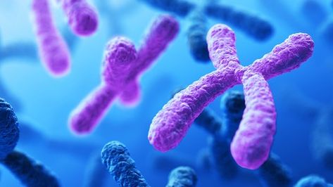 Nipt Test, Chromosomal Abnormalities, Rare Disorders, Human Genome, Human Dna, Genetic Disorders, Dna Test, Aging Signs, Science