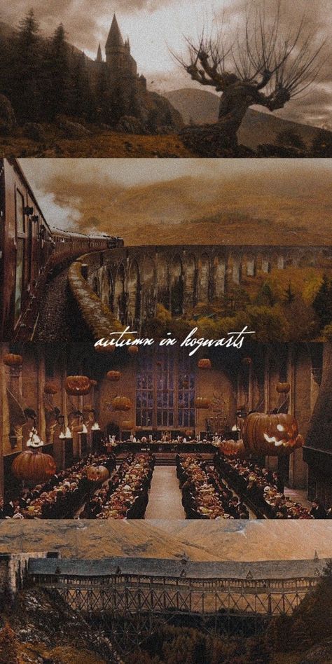 Fall Hogwarts Wallpaper, Harry Potter Wallpaper Halloween, Harry Potter Autumn Wallpaper, Hogwarts Halloween Wallpaper, Harry Potter Halloween Aesthetic, Harry Potter Iphone Wallpaper Aesthetic, Harry Potter Halloween Wallpaper, Halloween Harry Potter Wallpaper, Hogwarts Lockscreen