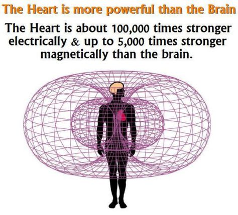 The Heart is about 100,000 times stronger electrically & up to 5,000 times stronger magnetically than the brain. Important, because the physical world – as we know it – is made of those 2 fields: electrical & magnetic fields of Energy. Physics now tells us that if we can change either the magnetic field or the electrical field of the atom, we literally change that atom and its elements within our body and this world. The human Heart is designed to do BOTH. Nutrition Club, Electromagnetic Field, Les Chakras, Spirit Science, Energy Medicine, Cellular Level, Body Organs, Human Heart, Magnetic Field