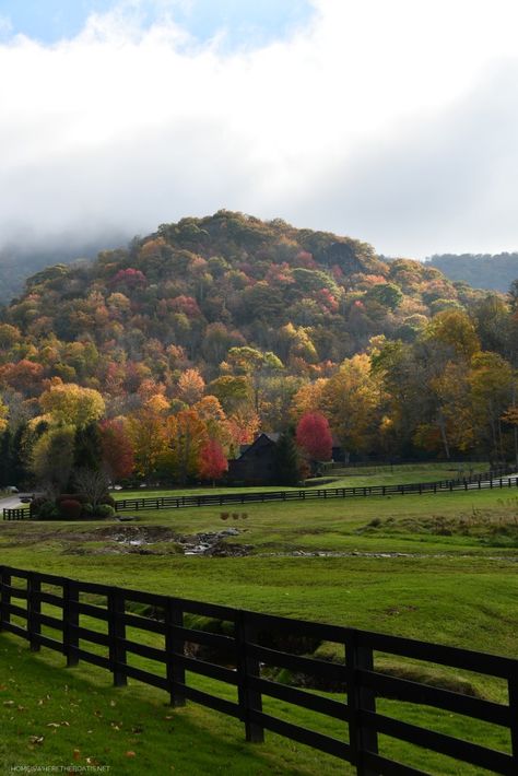 North Carolina Scenery, House In North Carolina, North Carolina Autumn, North Carolina Farmhouse, South Carolina Mountains, Raleigh North Carolina Aesthetic, North Carolina Houses, Nc Aesthetic, North Carolina Mountains Cabins