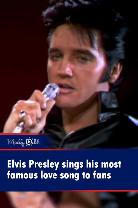 Elvis Presley sings his most famous love song to fans Elvis Presley Last Concert, Elvis Presley Gospel, Amazing Grace Song, Josh Gorban, Elvis Songs, Elvis Presley Songs, Elvis Photos, Elvis Presley Memories, King Of Rock And Roll