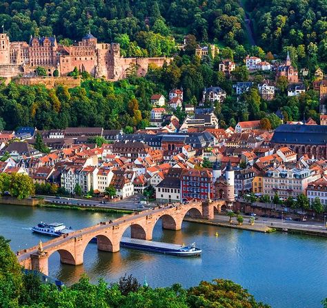 Best River Cruises, River Cruises In Europe, Heidelberg Germany, Viking Cruises Rivers, Europe City, Stunning Scenery, Cruise Europe, Adventure Travel Explore, Rhine River