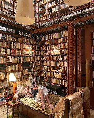Hanging Chair In Library, Inside Victorian Homes, Dark Academia Home Library, Bookshelf On Wall, Library In House, Dream Home Library, Home Library Rooms, Interior Design Per La Casa, Home Library Design
