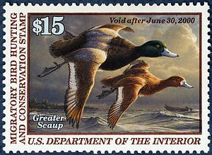 $ 15 multicolor Greater Scaup single Federal, Duck Hunting Decor, Duck Stamp, Usa Stamps, Price Of Stamps, Hunting Art, Hunting Decor, Hunting Cabin, Migratory Birds