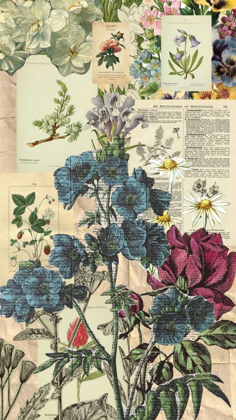 Aesthetic Plant Pictures For Wall Collage, Plant Flowers Aesthetic, Plant Aesthetic Collage, Aesthetic Botanical Wallpaper, Botany Books Aesthetic, Herbalist Aesthetic Wallpaper, Vintage Science Background, Vintage Plants Aesthetic, Biology Aesthetic Poster