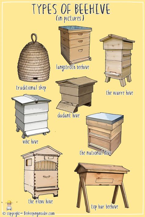 Different Types of Bee Hives With Pictures (How Many Are There?) | Beekeeping Insider Permaculture, Beehive Design Ideas, Bee Hive Stands Diy, Honey Extraction Room, Horizontal Bee Hive, Bee Hive Garden, Indoor Beehive, Bee Keeping For Beginners, Bee Brick