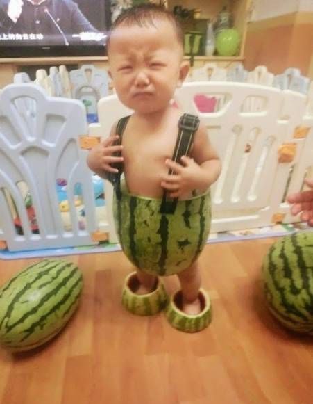 Acid Picdump (109 pics) Kalle Anka, Watermelon Shorts, Watermelon Outfit, Watermelon Baby, Funny P, Poor Children, 웃긴 사진, Funny Bunnies, 귀여운 동물