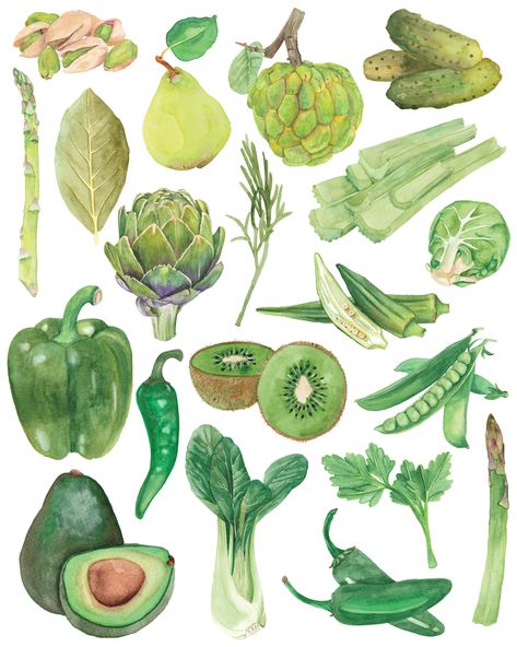 Watercolour food illustrations of green fruits and vegetables arranged in an ombre pattern. Green Fruits And Vegetables, Vegetable Drawing, Watercolor Food Illustration, Vegetable Painting, Vegetable Illustration, Food Illustration Art, Watercolor Green, Instruções Origami, Watercolor Food