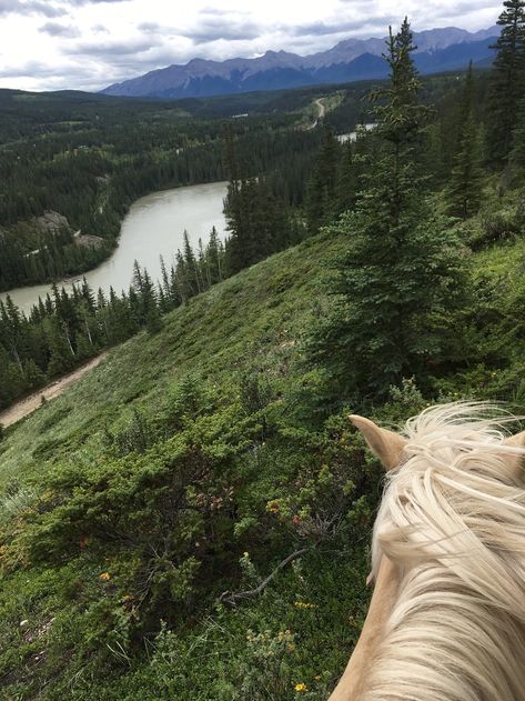 Nature, Horses Aesthetics, Country Girl Life, Small Town Romance, What To Do Today, Horse Wallpaper, Horse Aesthetic, To Do Today, Horse Ranch