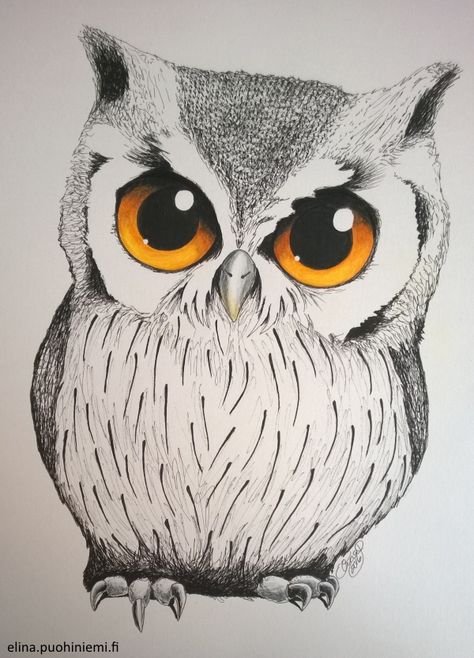 Cute Owl Drawing, Color Exploration, Owl Tattoo Drawings, Owl Sketch, Coloring Pencils, Animal Tattoo Ideas, Owl Artwork, Owls Drawing, Owl Pictures