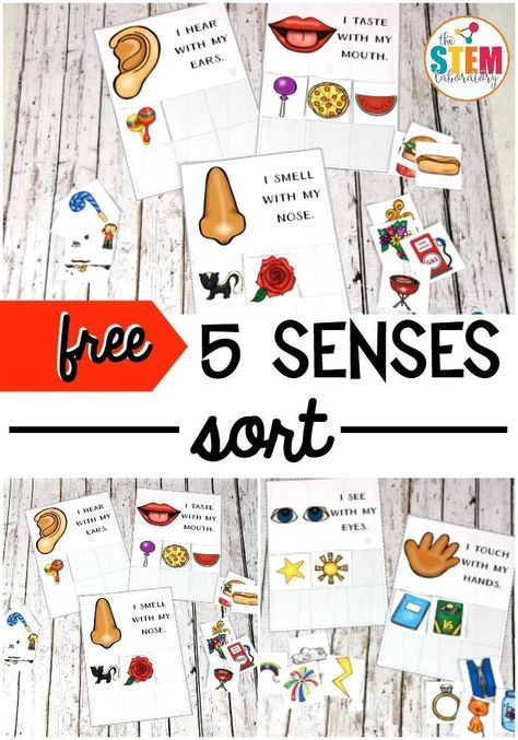5 Senses Preschool, Five Senses Preschool, 5 Senses Activities, Senses Preschool, My Five Senses, Senses Activities, The Five Senses, 5 Senses, Five Senses