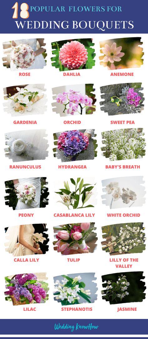 If you’ve been struggling to select the right wedding flowers for your special day, check out our list of the top 15 most popular wedding flowers. Most Popular Wedding Flowers, Popular Flowers For Bouquets, Types Of Flowers For Bouquet, Grow Your Own Wedding Flowers, Popular Wedding Flowers, Flower Arragement, Wedding Bouquet Flowers, July Flowers, Expensive Flowers